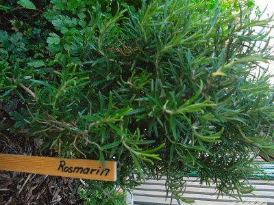 Holiday park 4 Personen Ferienhaus auf einem Ferienpark Fanø - Outdoor photo 39