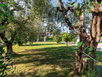 Villa Country Home in Lucca near Tuscan Wineries - Outdoor photo 2