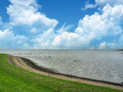 Holiday house Villa in Zeeland nahe Oosterschelde Park - Environment photo 37