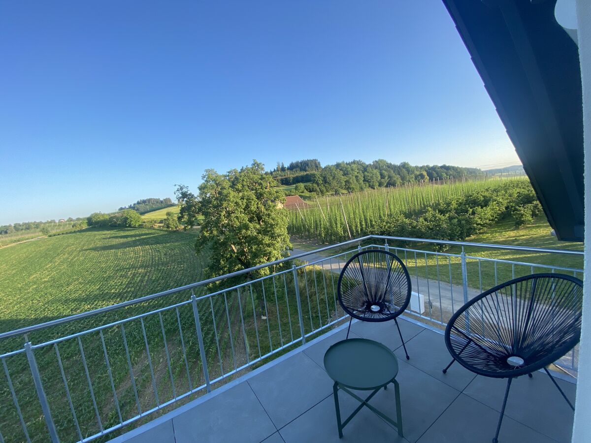 Holiday apartment Holiday apartment Hopfenblick - Outdoor photo 3