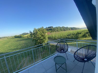 Holiday apartment Holiday apartment Hopfenblick - Outdoor photo 3