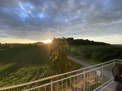 Holiday apartment Holiday apartment Hopfenblick - Environment photo 14