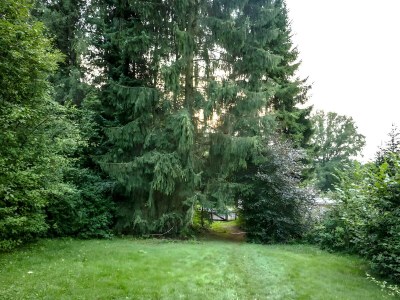 Holiday house Ferienhaus inmitten der Natur - Outdoor photo 3