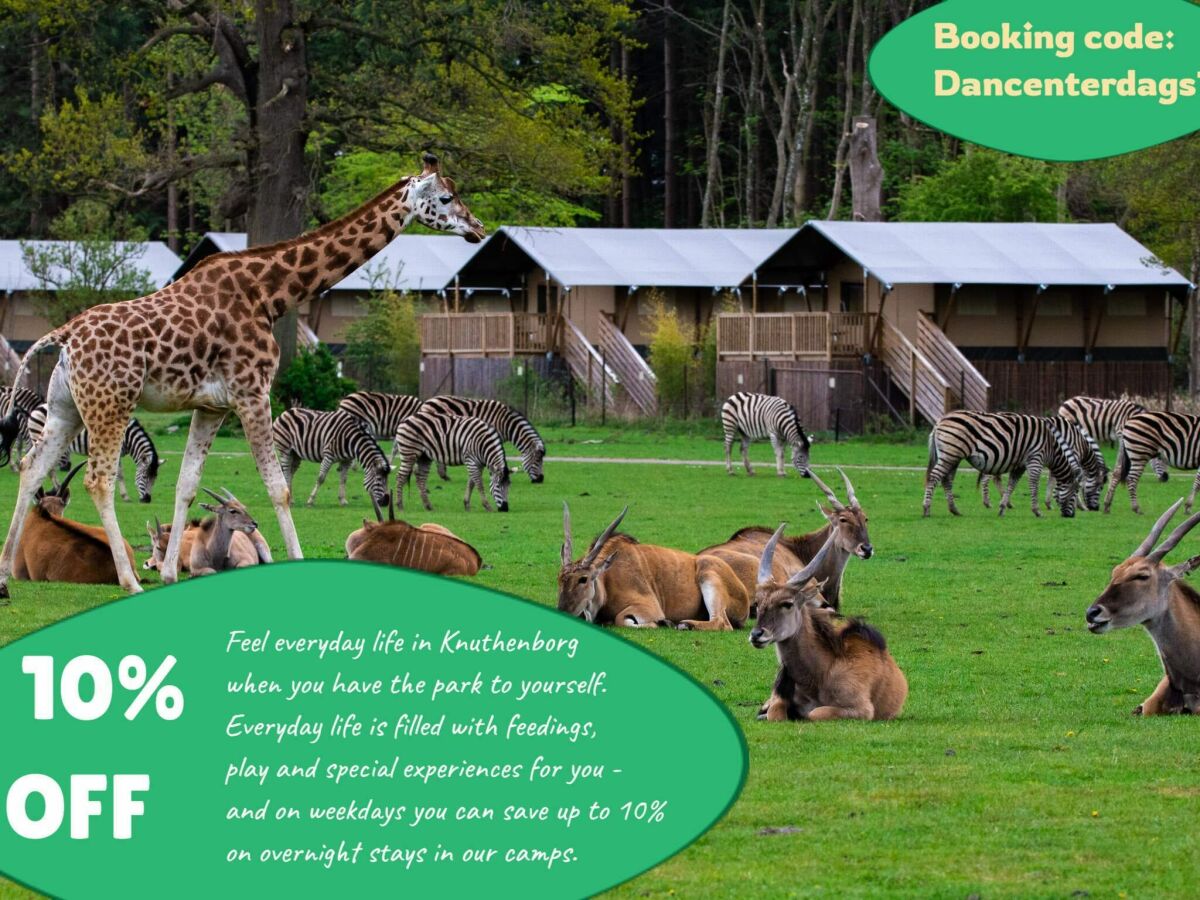 Holiday park 6 Personen Ferienhaus auf einem Ferienpark Faaborg - Outdoor photo 3