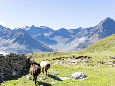 Apartment Johanna Appart - Environment photo 11