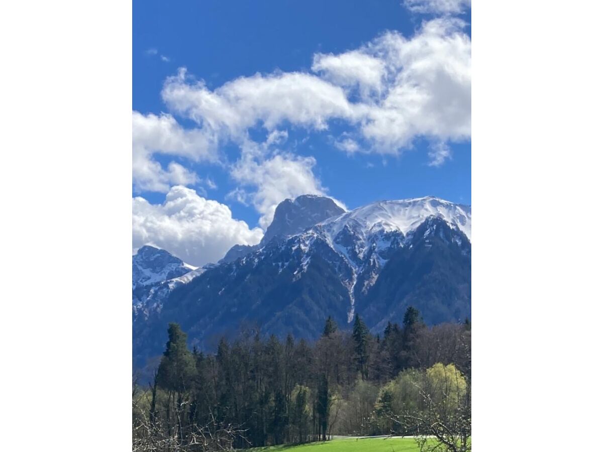 Holiday apartment Landhaus Stockhornblick - Outdoor photo 5