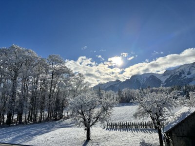 Holiday apartment Landhaus Stockhornblick - Outdoor photo 3