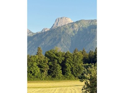 Holiday apartment Landhaus Stockhornblick - Outdoor photo 4