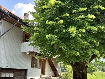 Holiday apartment Landhaus Stockhornblick - Outdoor photo 6