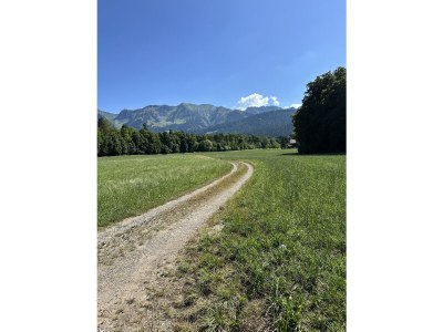 Holiday apartment Landhaus Stockhornblick - Environment photo 36