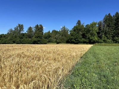 Holiday apartment Landhaus Stockhornblick - Environment photo 37