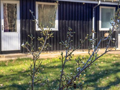 Holiday park 6 person holiday park home in Læsø - Outdoor photo 23