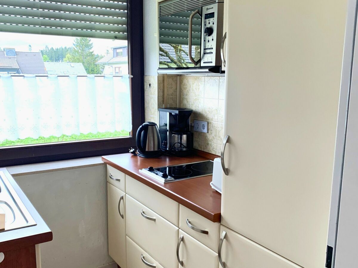 Apartment Spacious Flat near Hiking Trails - Features photo 5