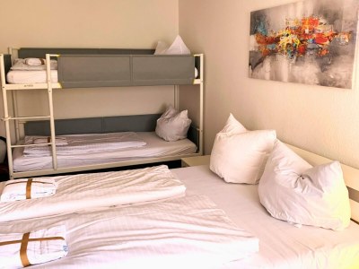 Apartment Spacious Flat near Hiking Trails - Features photo 8