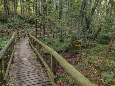 Apartment Spacious Flat near Hiking Trails - Environment photo 15