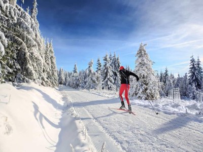 Apartment Spacious Flat near Hiking Trails - Environment photo 18