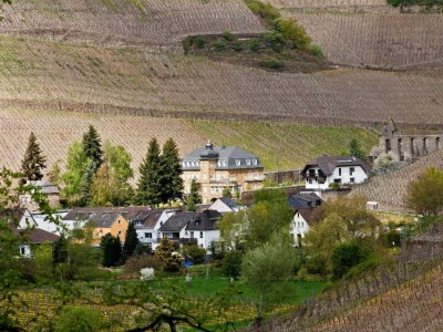 Holiday apartment Näkel-Ahrtal - Environment photo 25