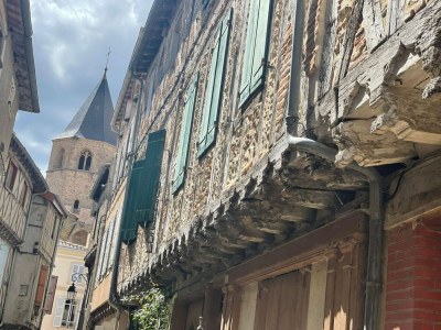 Holiday house Cottage by River with Spa near Carcassonne - Environment photo 30