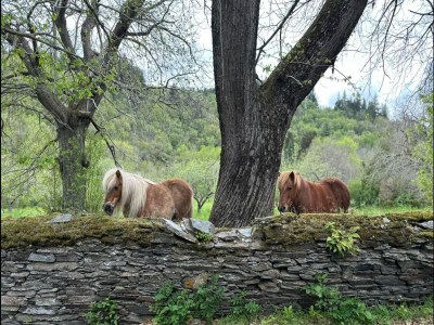 Holiday house Cottage by River with Spa near Carcassonne - Outdoor photo 38