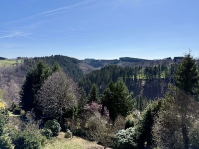 Apartment Haus Panoramablick-Ferienwohnung 1 - Features photo 38