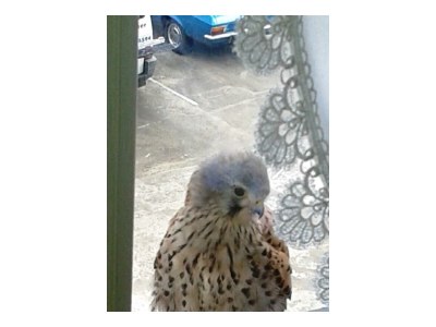 Apartment 5-Bett-Ferienwohnung, Dusche/WC, 3 Schlafräume - Outdoor photo 29