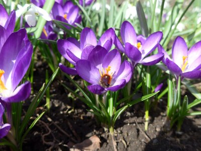 Apartment 5-Bett-Ferienwohnung, Dusche/WC, 3 Schlafräume - Outdoor photo 31