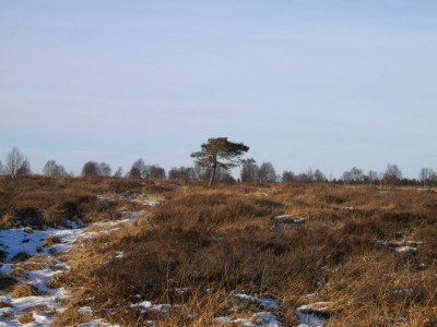 Apartment 5-Bett-Ferienwohnung, Dusche/WC, 3 Schlafräume - Outdoor photo 32
