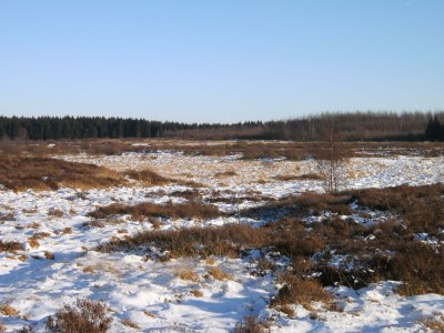 Apartment 5-Bett-Ferienwohnung, Dusche/WC, 3 Schlafräume - Outdoor photo 33