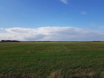 Holiday house 4 Personen Ferienhaus in Ringkøbing - Outdoor photo 19