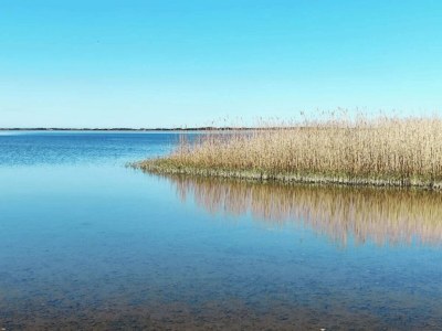 Holiday house 4 Personen Ferienhaus in Ringkøbing - Outdoor photo 28