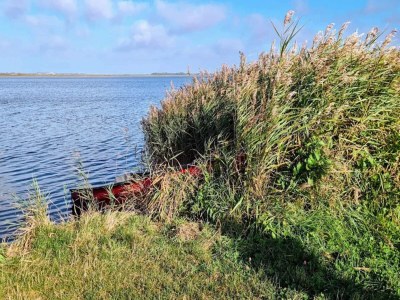 Holiday house 7 person holiday home in Ringkøbing - Outdoor photo 17
