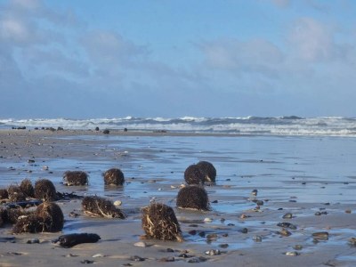 Holiday house 7 person holiday home in Ringkøbing - Outdoor photo 20