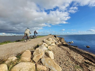 Holiday house 7 person holiday home in Ringkøbing - Outdoor photo 33