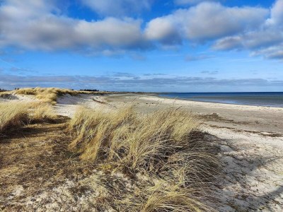 Holiday house 4 Sterne Ferienhaus in Asaa - Outdoor photo 18