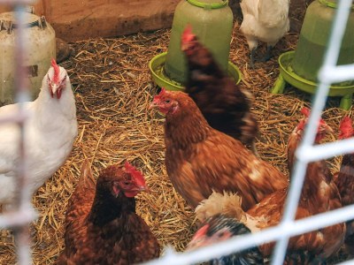 Holiday house 4 Sterne Ferienhaus in Asaa - Outdoor photo 20