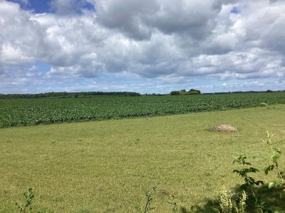 Holiday house 10 person holiday home in Maribo - Outdoor photo 9