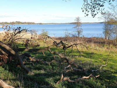 Holiday house 10 person holiday home in Maribo - Outdoor photo 25