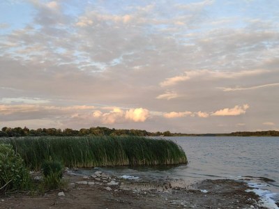 Holiday house 10 person holiday home in Maribo - Outdoor photo 37