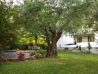 Apartment Fiskus - Environment photo 16