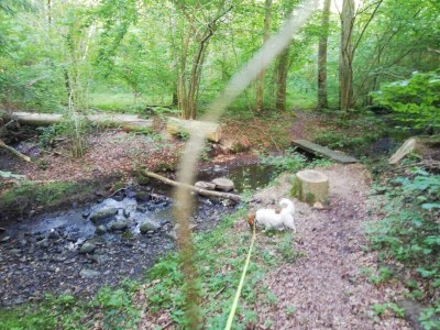Holiday house 4 Sterne Ferienhaus in Hornsyld - Outdoor photo 13