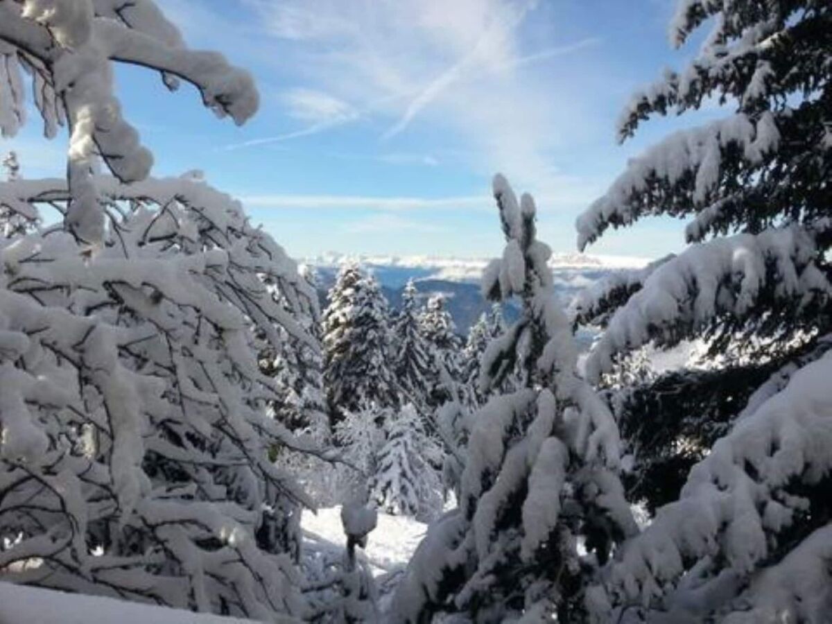 Chalet Cozy Alpine Chalet Escape for Two - Outdoor photo 4