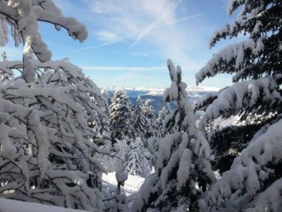 Chalet Cozy Alpine Chalet Escape for Two - Outdoor photo 4