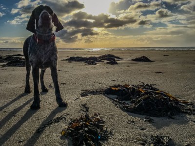 Holiday apartment Studio Coco - Environment photo 11