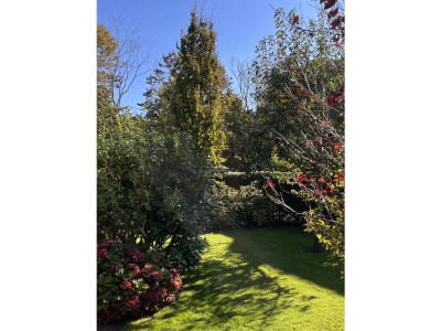 Holiday house Maschler - Features photo 29