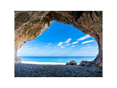 Holiday house Elegant Basement Suite - Environment photo 10