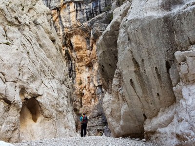Holiday house Elegant Basement Suite - Environment photo 11