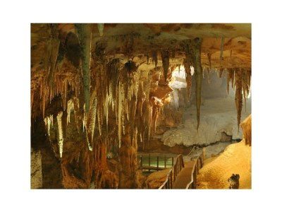 Holiday house Elegant Basement Suite - Environment photo 12