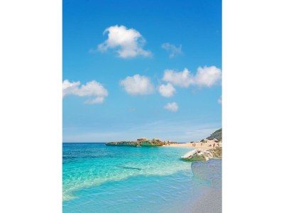 Holiday house Elegant Basement Suite - Environment photo 13