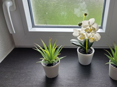 Apartment Ferienhaus Kapellenstraße - Outdoor photo 8