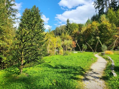 Apartment Premium Apartment in Schwaz - Environment photo 14